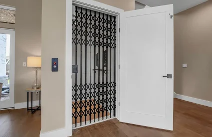 Accessible home elevator with luxury design